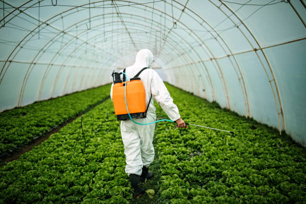 Professional Pest Control in Ortonville, MN
