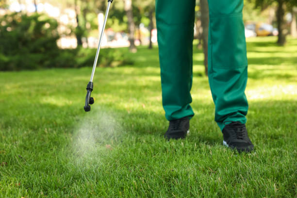 Best Local Pest Control Services  in Ortonville, MN