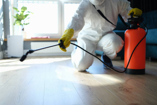 Best Flea Control Services  in Ortonville, MN