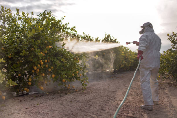 Best Pest Control Near Me  in Ortonville, MN