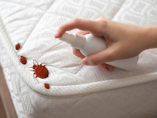 Best Bed Bug Extermination  in Ortonville, MN