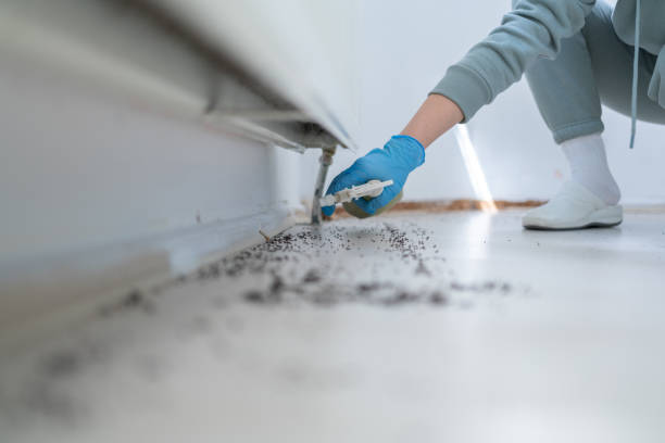 Best Exterminator Services  in Ortonville, MN