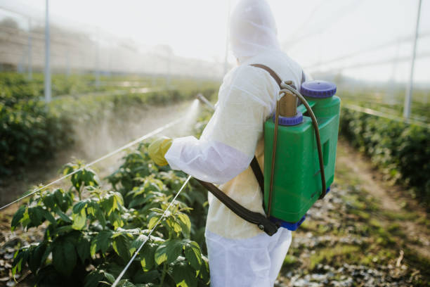 Best Pest Control for Restaurants  in Ortonville, MN